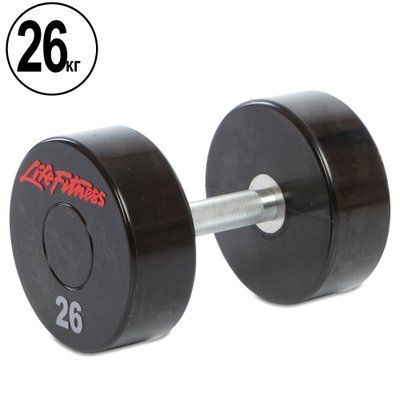 Гантель цільна професійна LIFE FITNESS SC-80081-26 1шт 26кг