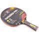 Ракетка для настольного тенниса GIANT DRAGON TOPENERGY P40+ 5* MT-6509 ST12501P40