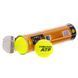 М'яч для великого тенісу HEAD ATP METAL CAN 570314 4шт салатовий