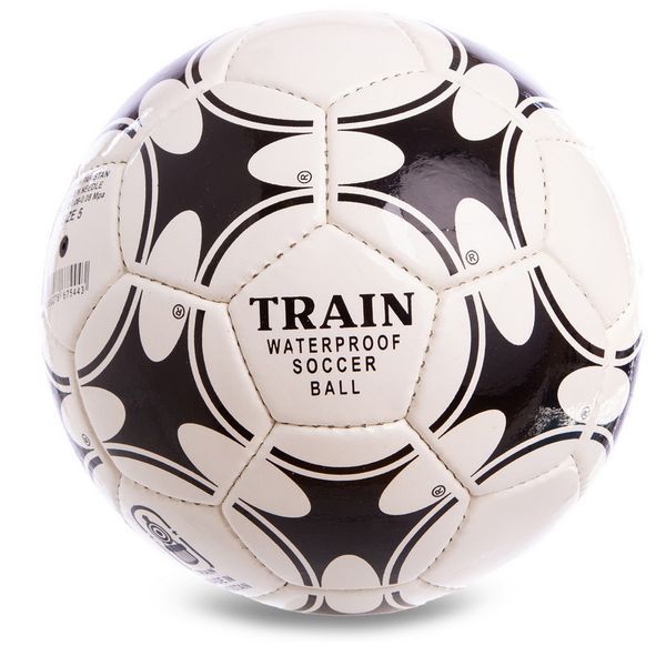 Мяч футбольный TRAIN FB-0655 №5 PU