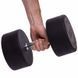 Гантель цільна професійна TECHNOGYM LN-1254-32_5 1шт 32,5кг