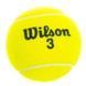 М'яч для великого тенісу WILSON AUSTRALIAN OPEN T1130 4шт салатовий