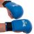Накладки (перчатки) для карате MATSA Zelart MA-0010 XL голубой