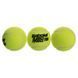 М'яч для падіння тенісу BABOLAT PADEL TOUR X3 BB501063-113 3шт салатовий