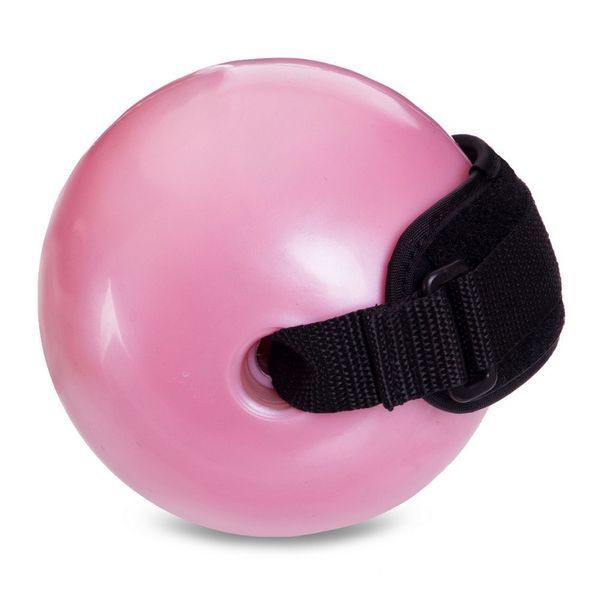 М'яч обтяжений із манжетом PRO-SUPRA WEIGHTED EXERCISE BALL 030-1_5LB