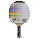 Набор для настольного тенниса 1 ракетка, 3 мяча с чехлом DONIC MT-788489 Legends 700 FSC