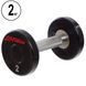 Гантель цільна професійна LIFE FITNESS SC-80081-2 1шт 2кг