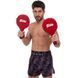 Ракетка для тхеквондо одинарна FAIRTEX BXP1 2шт червоний