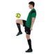 Форма футбольна Joma PHOENIX 102741-451 XS-2XL зелений-чорний S