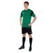 Форма футбольна Joma PHOENIX 102741-451 XS-2XL зелений-чорний S